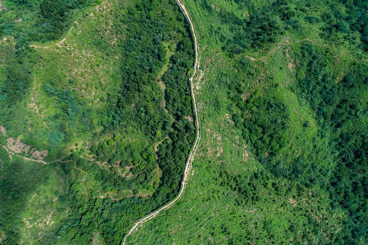 China Discovery — Golden China