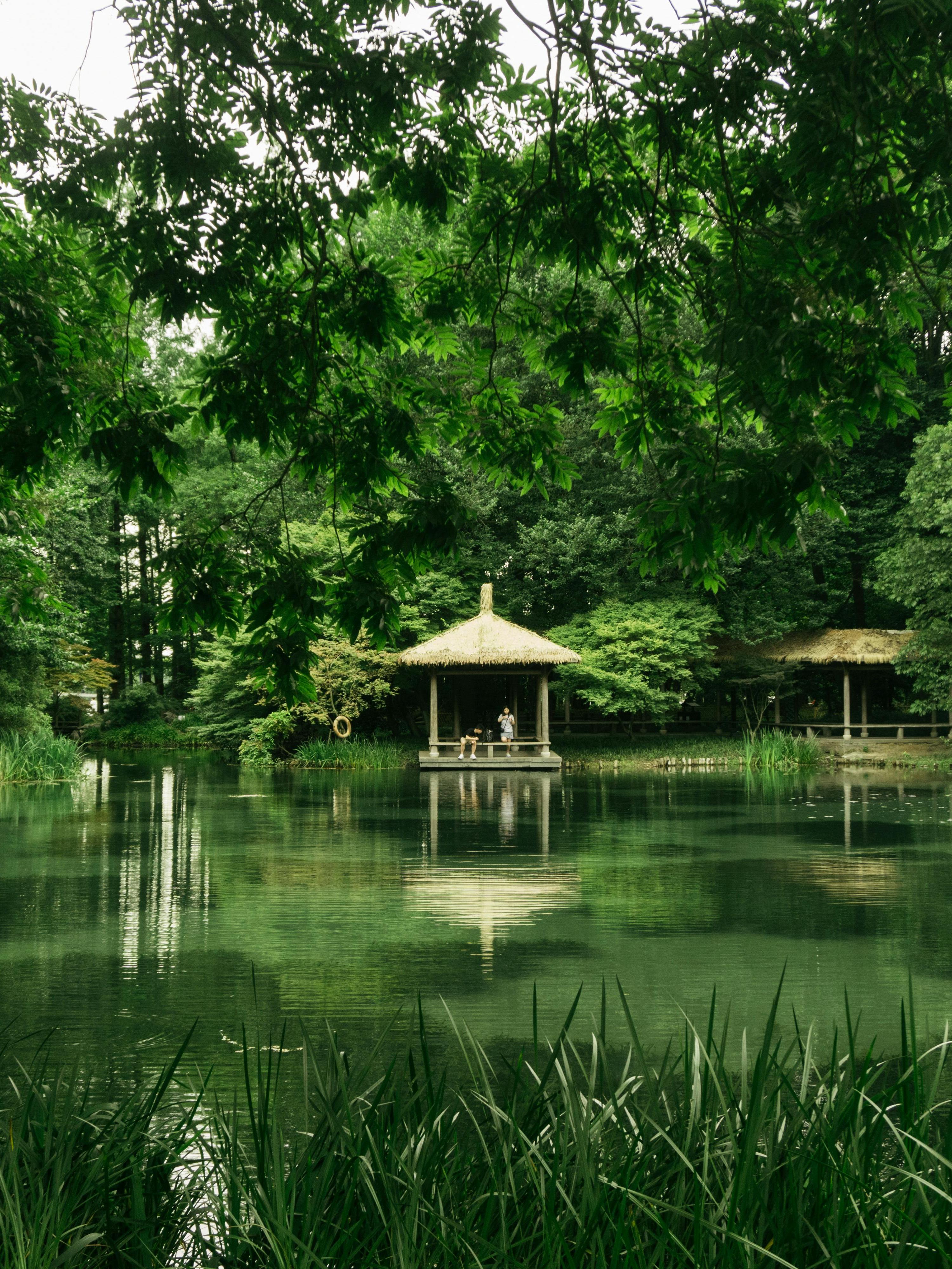 Hangzhou Tours from New Zealand