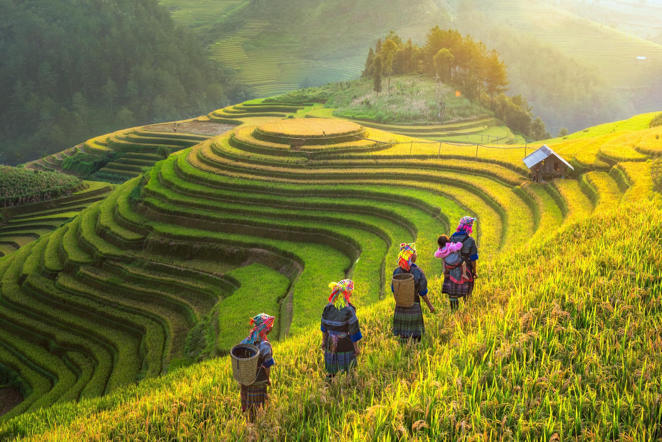 China Discovery — Colorful Yunnan — photo 2
